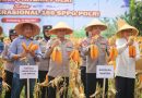 Dampingi Kapolda Banten, Kapolres Pandeglang Ikut Panen Raya Jagung Bersama Petani di Desa Paniis