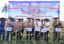 Dukung Ketahanan Pangan, Polda Banten Panen 29,5 Ton Jagung