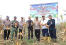 Dukung Asta Cita Presiden, Polres Cilegon Sukses Gelar Panen Raya Jagung di Anyer