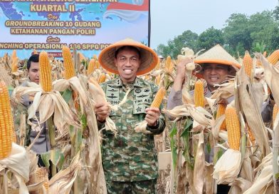 Dandim 0510/Trs Panen Raya Jagung Kuartal II Bersama Kasdam Jaya.