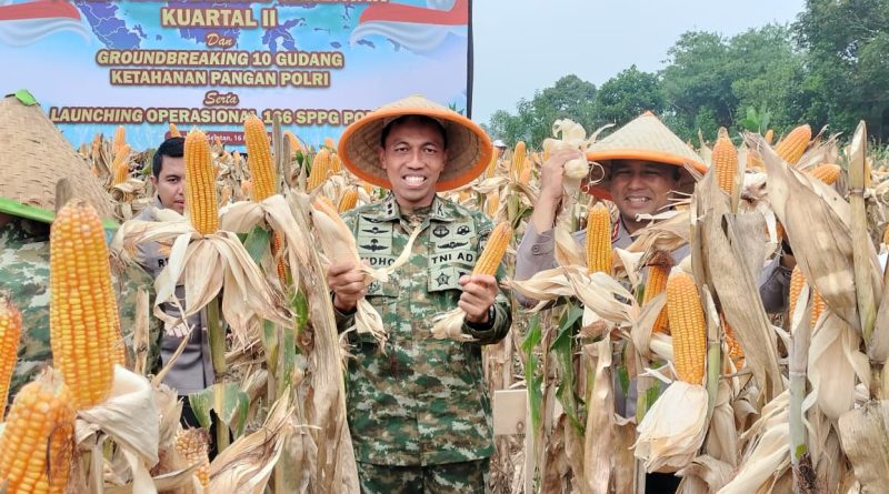 Dandim 0510/Trs Panen Raya Jagung Kuartal II Bersama Kasdam Jaya.