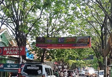 Pohon Mulai Rindang dan Membahayakan di Jalan Raya Kutabumi, Warga Desak Dinas Terkait Lakukan Pemangkasan Pohon Mulai Rindang dan Membahayakan di Jalan Raya Kutabumi, Warga Desak Dinas Terkait Lakukan Pemangkasan