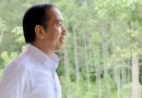 Jokowi Sebut Dirinya “Sultan Majdzub Besuki”, Agus Flores Ungkap Jejak Spiritual, Darah Sejarah hingga Perjalanan Ziarah Raja Nusantara