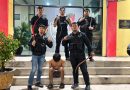 Tim Macan Polres Pelabuhan Belawan Terkam Pemuda Diduga Hendak Tawuran, Sita 4 Celurit Tim Macan Polres Pelabuhan Belawan Terkam Pemuda Diduga Hendak Tawuran, Sita 4 Celurit