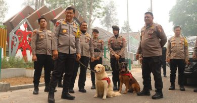 Polri: Perkuat Patroli Hutan Terpadu, Rescue Satwa Terdampak dan Pengamanan agar Orang Utan Terlindungi Polri: Perkuat Patroli Hutan Terpadu, Rescue Satwa Terdampak dan Pengamanan agar Orang Utan Terlindungi