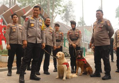 Polri: Perkuat Patroli Hutan Terpadu, Rescue Satwa Terdampak dan Pengamanan agar Orang Utan Terlindungi Polri: Perkuat Patroli Hutan Terpadu, Rescue Satwa Terdampak dan Pengamanan agar Orang Utan Terlindungi